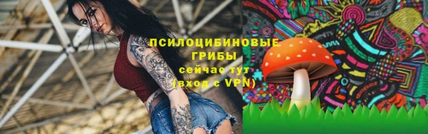 каннабис Алзамай
