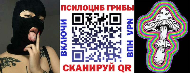 Галлюциногенные грибы Psilocybe  купить закладку  Беслан 